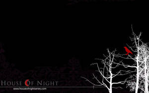 House of Night