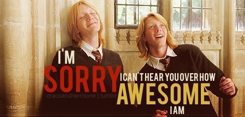 Fred and George Weasley are AWESOME