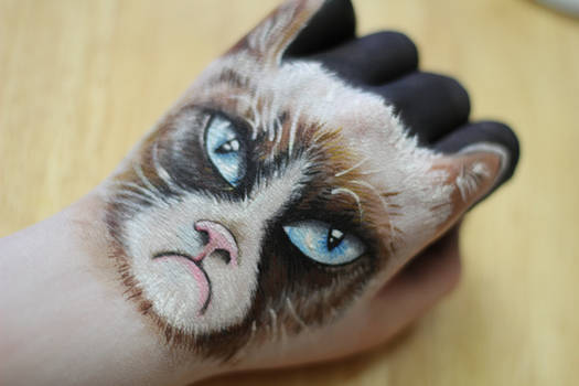 Grumpy Cat Hand Art