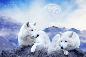 Closer to the sky by Panda-kiddie Closer to the sky by Panda-kiddie