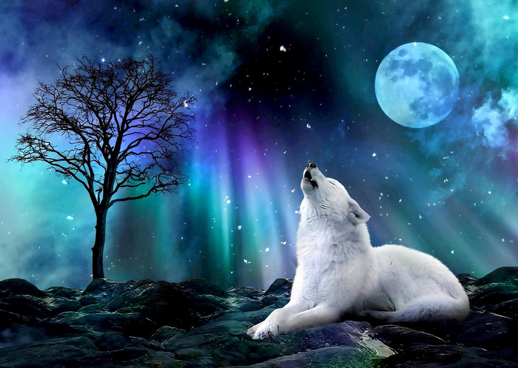 Northern Song by Panda-kiddie Northern Song by Panda-kiddie