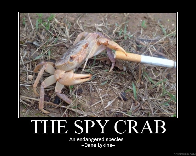 The Spy Crab