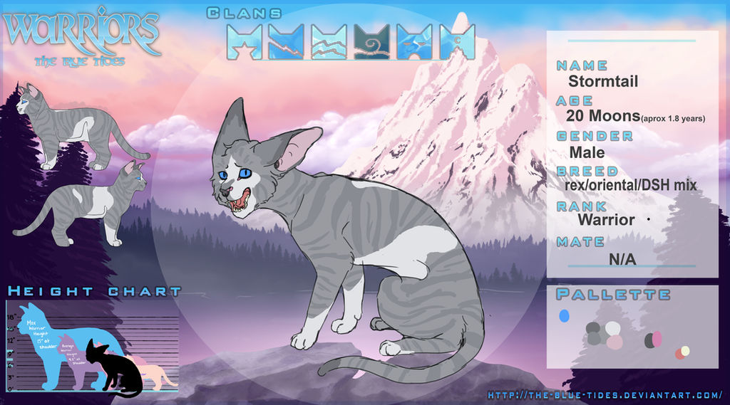 Stormtail -TBT-Stormtail||Windclan|| Warrior (NPC) by tadakiba on DeviantArt