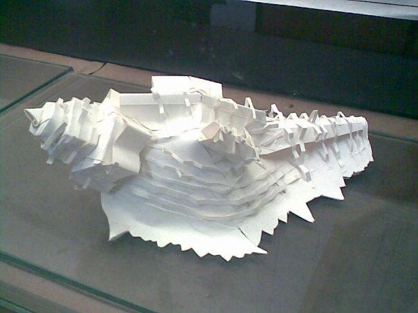 paper shell by ArtChizu on DeviantArt