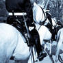 Army on horse