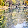 Lake landscape