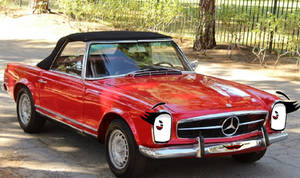 Delilah The 1967 Mercedes-Benz 230SL