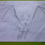 Wolf x Bat