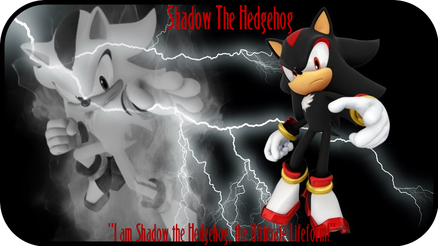 Shadow The HedgeHog~