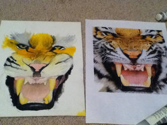 wip tiger painting