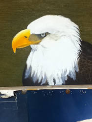 eagle painting