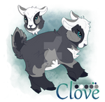 [Adopt] Clove [Closed]