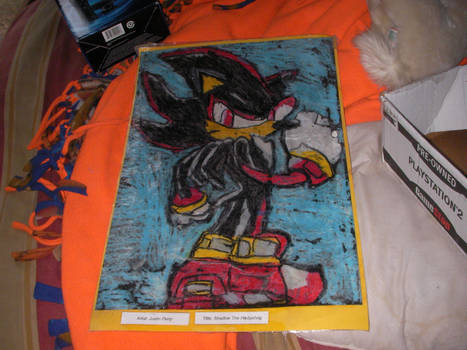 Shadow the Hedgehog