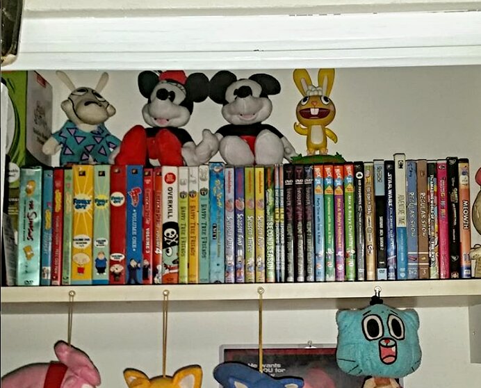 Cartoon DVD Collection by SquirrelCat1998V2 on DeviantArt Cartoon DVD Collection by SquirrelCat1998V2 on DeviantArt