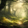 Magical forest in a misty atmosphere