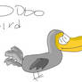 Dodo!