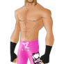 WWE Superstars: Dolph Ziggler