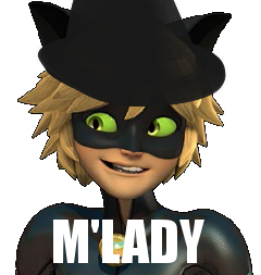 Cat Noir M'lady