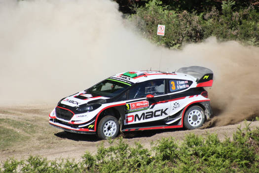 2017, Elfyn Evans,Ford, Cabeceiras Basto, Portugal