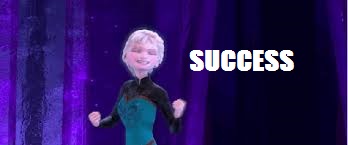 Success Elsa