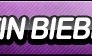 Justin Bieber Fan Button