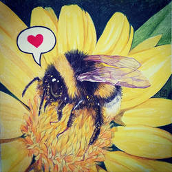 Bumblebee Love