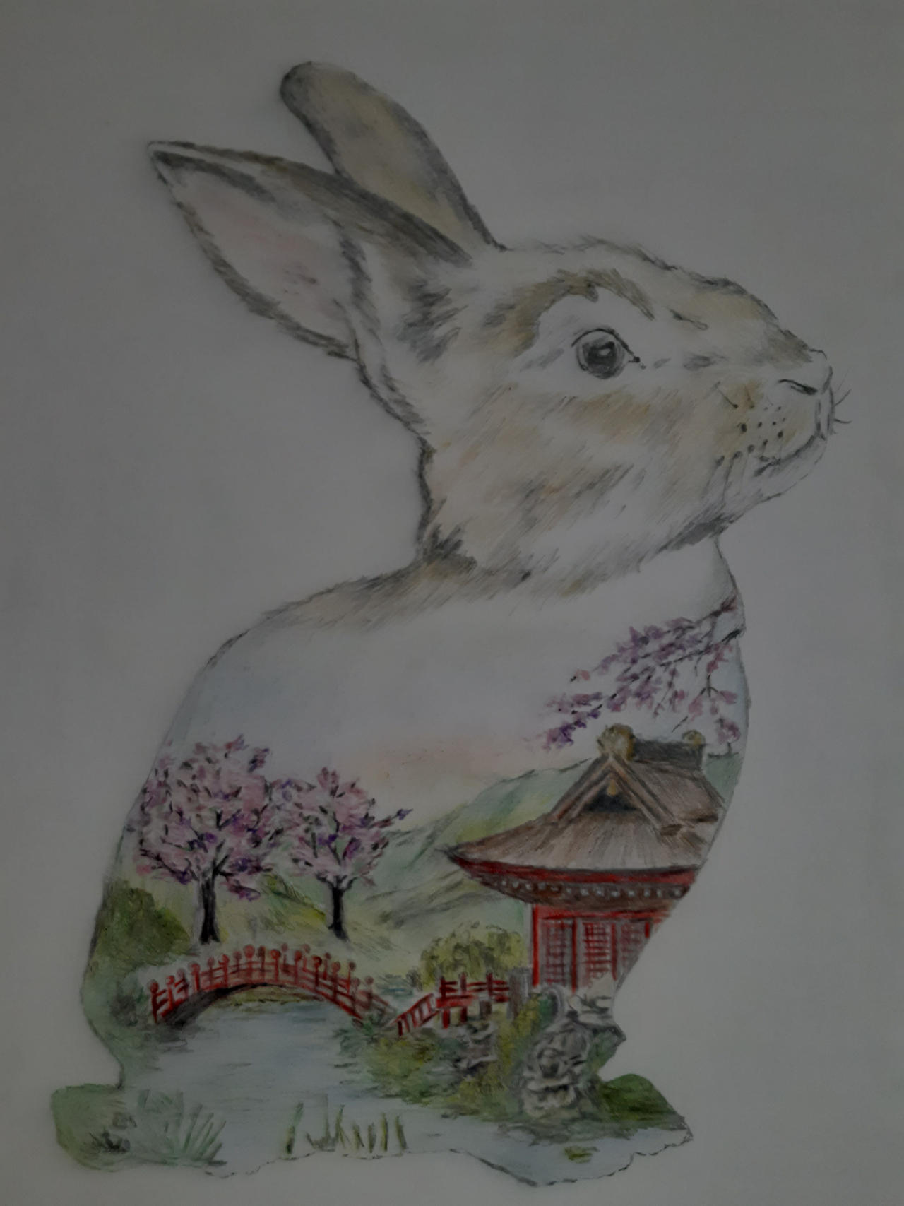 Japanese rabbit - final by matenrouMartina on DeviantArt