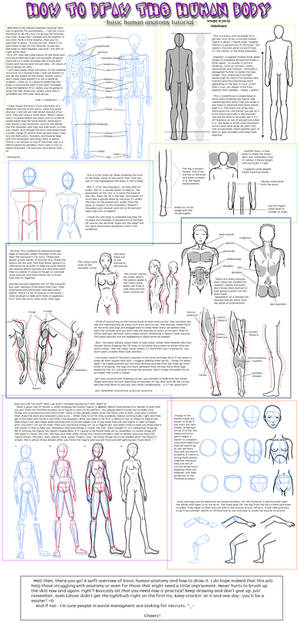 -Anatomy Tutorial-