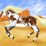 -Paint horse-
