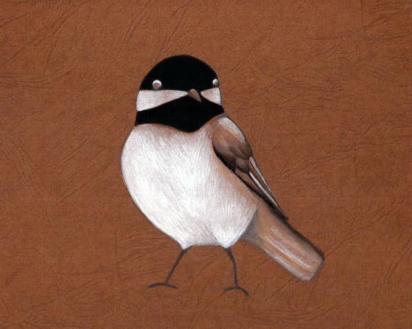 M's Chickadee