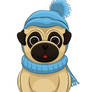 Winter Pug