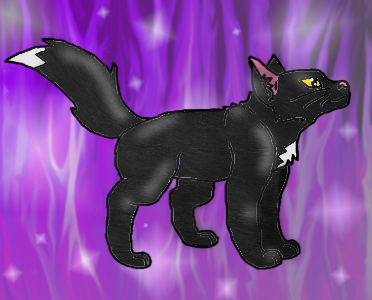 Ravenpaw!