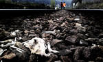 Railroad to hell by mancaalberto