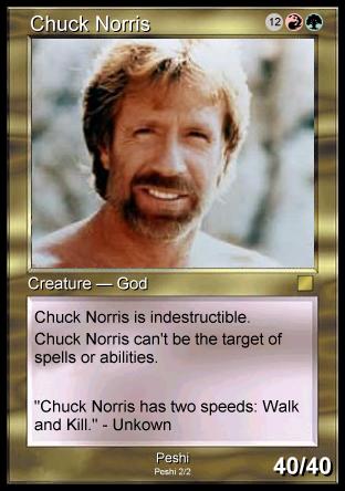 mtg chuck norris card chuck norris mtg card Chuck Norris 2024 Leaf Prized Legend CCG 10
