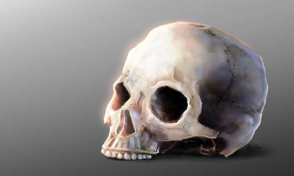 Skull