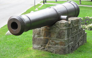 Cannon