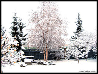 snow_2