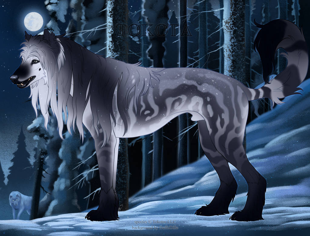 Stargazer 73085 by TwotemSpirit on DeviantArt