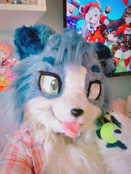 :Fursuit: Wanna play fetch??