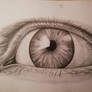 Detailed eye A3 hand drawn