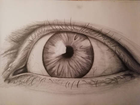 Detailed eye A3 hand drawn