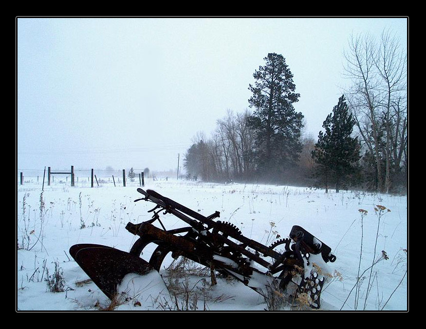 Winter Past In Montana