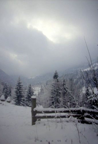 Winter landscape 6