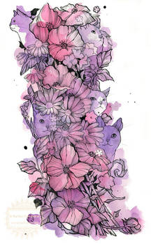 Wild Flowers and Cats