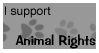 Stamp - Animal Rights