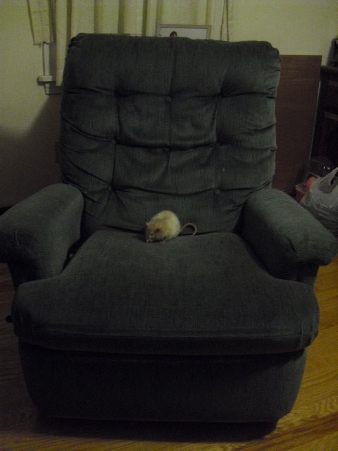 Nugget's Chair