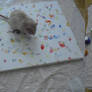 Rat Painting on Canvas