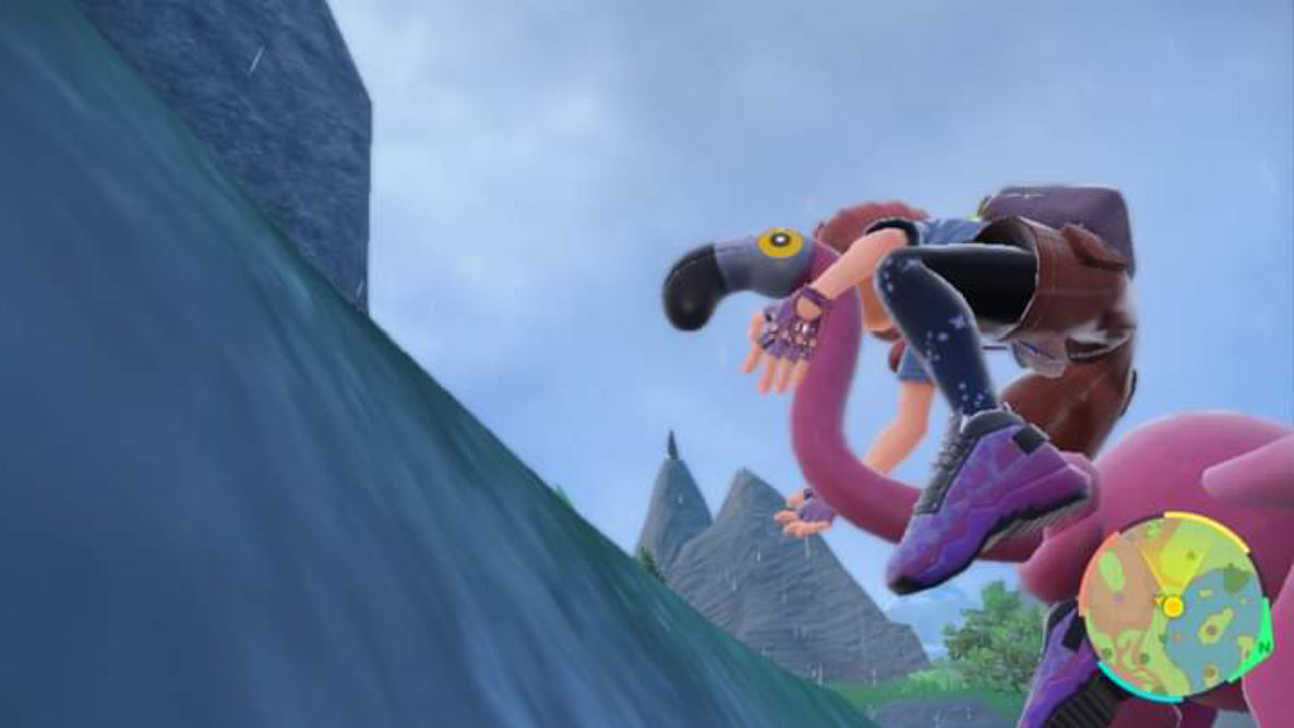 Riding a wild Flamigo by SailorUsagiChan on DeviantArt