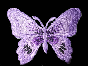 butterfly 1