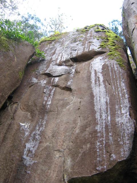 Tasmania - Rock Face.